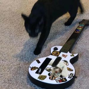 按摩喷潮在线播放无码
