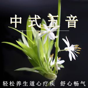 按摩喷潮在线播放无码
